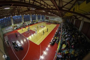 csm arad